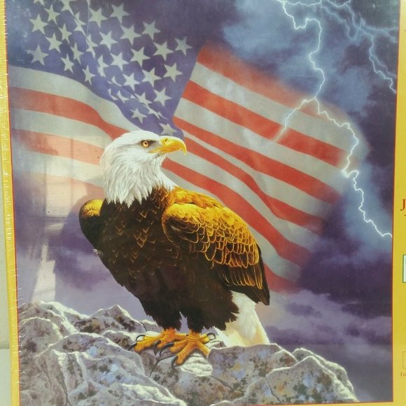 Sun's Out Guardians of Freedom 550 Piece Jigsaw Puzzle Bald Eagle Flag Copple - Picture 2 of 6